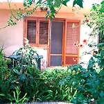 Sea View Garden *