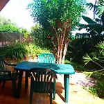 Sea View Garden