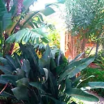 Sea View Garden צ'פאלו