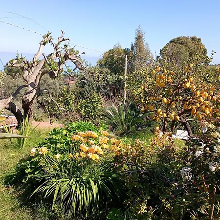Sea View Garden * צ'פאלו