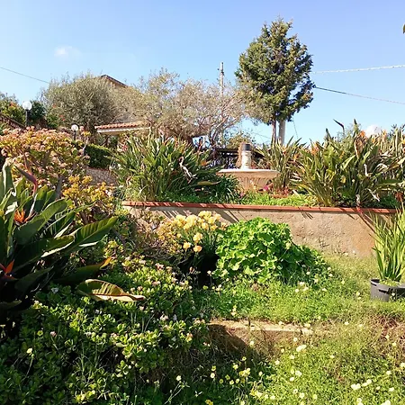 Sea View Garden דירה *