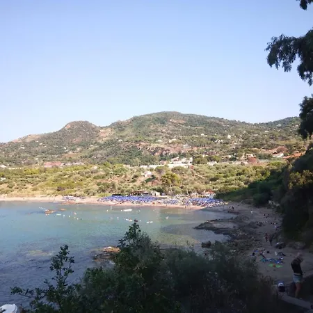 Sea View Garden *