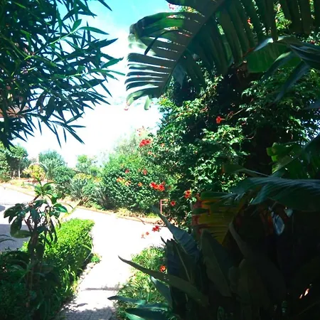 Sea View Garden 公寓