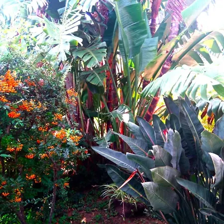 Sea View Garden 公寓